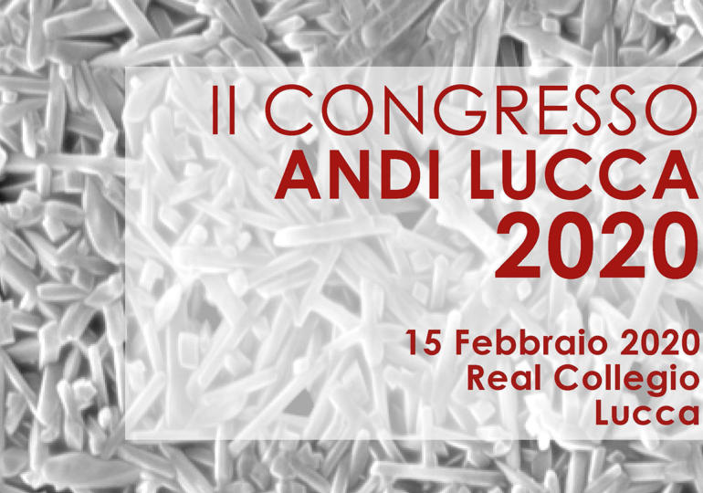 ANDI Lucca - Congresso 2020