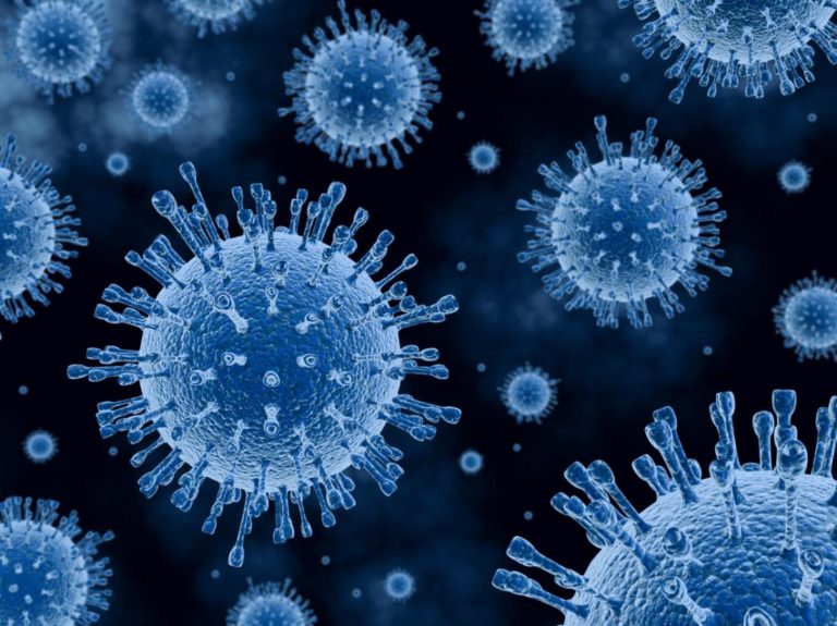 La Guida ANDI per la prevenzione da Coronavirus SARS-CoV-2
